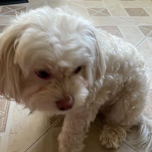 Meet your Posher, Itzel